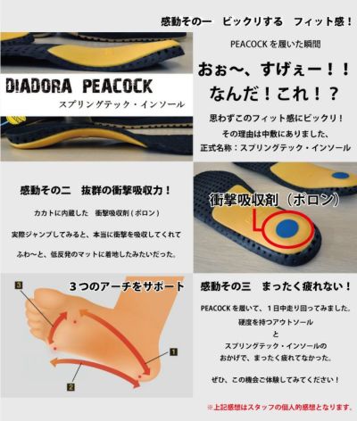 DIADORA ディアドラ 安全靴  PEACOCK / PC-12 PC-22 PC-31