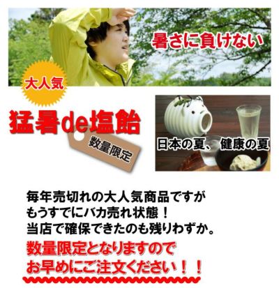 【送料無料】 猛暑de塩飴1kg×10袋セット / 暑さ対策キャンディ 飴 [季節対策商品]