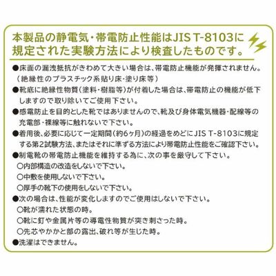 富士手袋工業 安全靴  静電安全靴ブーツ型 9989