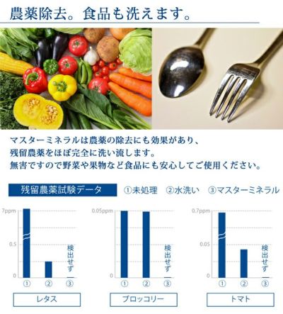 マスターミネラル マスターミネラル300ml 洗剤