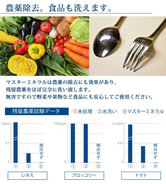マスターミネラル マスターミネラル300ml 洗剤