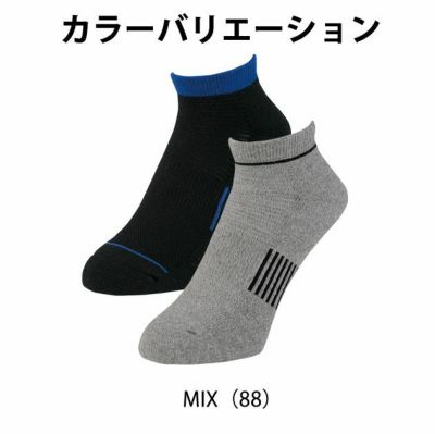 CO-COS コーコス グラディエーター 靴下 ニオイクリア スニーカー先丸2足組 G-9237