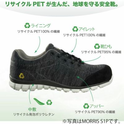 SAFETY JOGGER セーフティージョガー 安全靴 セーフティーシューズ ECONILA S1 LOW