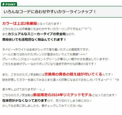 ミズノ 安全靴 オールマイティES31L 2024年限定モデル F1GA2408