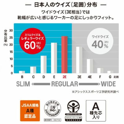 asics アシックス 安全靴 ウィンジョブCP219 2024年限定モデル 1273A092