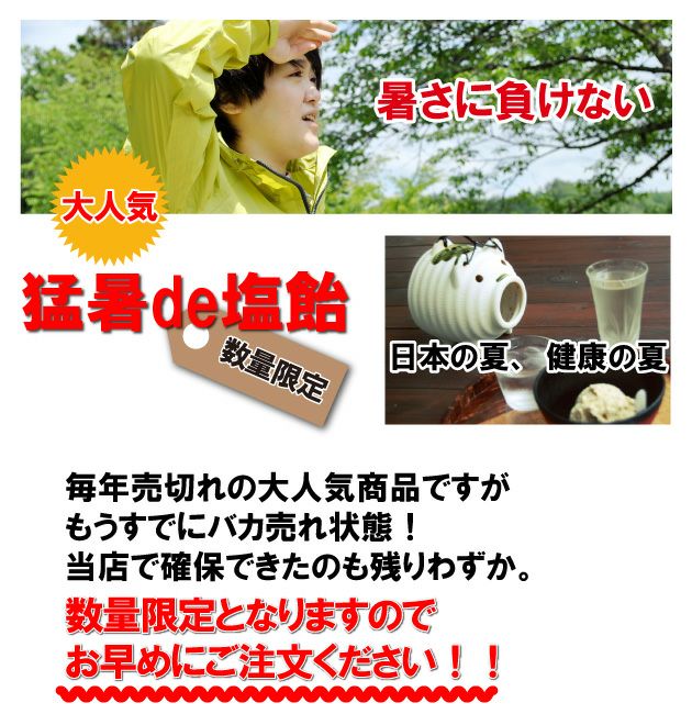 オークラ製菓 夏対策商品 猛暑de塩飴 4種アソートミックス1kg×10袋セット 塩飴セット