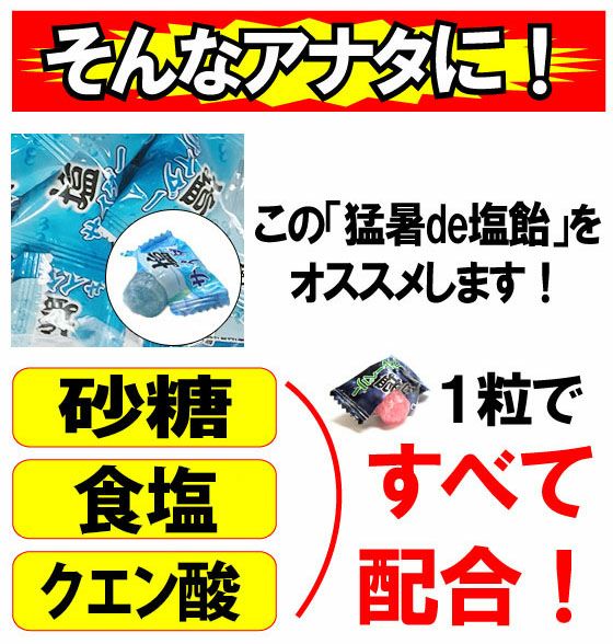 オークラ製菓 夏対策商品 猛暑de塩飴 4種アソートミックス1kg×10袋セット 塩飴セット
