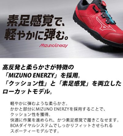 ミズノ 安全靴 オールマイティ TDII 51L BOA F1GA2402