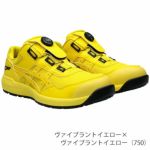 asics アシックス 安全靴 ウィンジョブ CP209 BOA 2024年限定モデル 1271A029