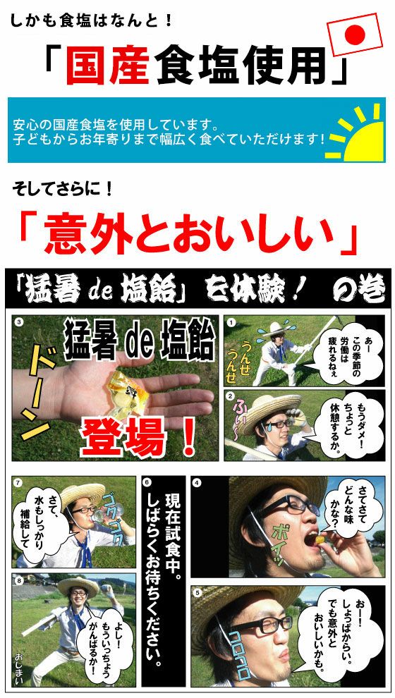 オークラ製菓 夏対策商品 猛暑de塩飴800gボトルミックス 6個セット 熱中症に負けない！