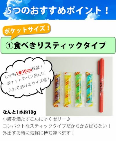 坂製菓 塩分チャージゼリー 1袋500g 塩ゼリー 夏対策商品 熱中症対策 選べる4つの味！