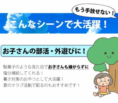 坂製菓 塩分チャージゼリー 1袋500g 塩ゼリー 夏対策商品 熱中症対策 選べる4つの味！