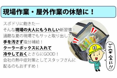 坂製菓 塩分チャージゼリー 1袋500g 塩ゼリー 夏対策商品 熱中症対策 選べる4つの味！