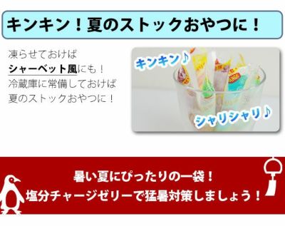 坂製菓 塩分チャージゼリー 1袋500g 塩ゼリー 夏対策商品 熱中症対策 選べる4つの味！