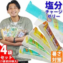 坂製菓 塩分チャージゼリー 4袋セット 塩ゼリー 夏対策商品 熱中症対策