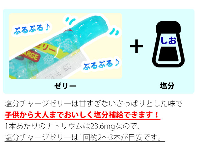 坂製菓 塩分チャージゼリー 4袋セット 塩ゼリー 夏対策商品 熱中症対策
