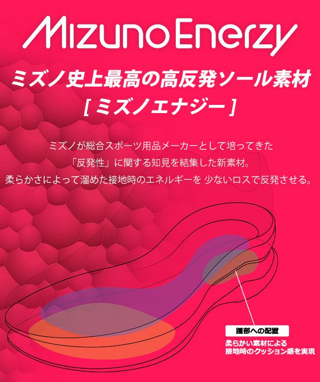 ミズノ 安全靴 F1GA2514 オールマイティ TDII 51L BOA 2025年限定モデル